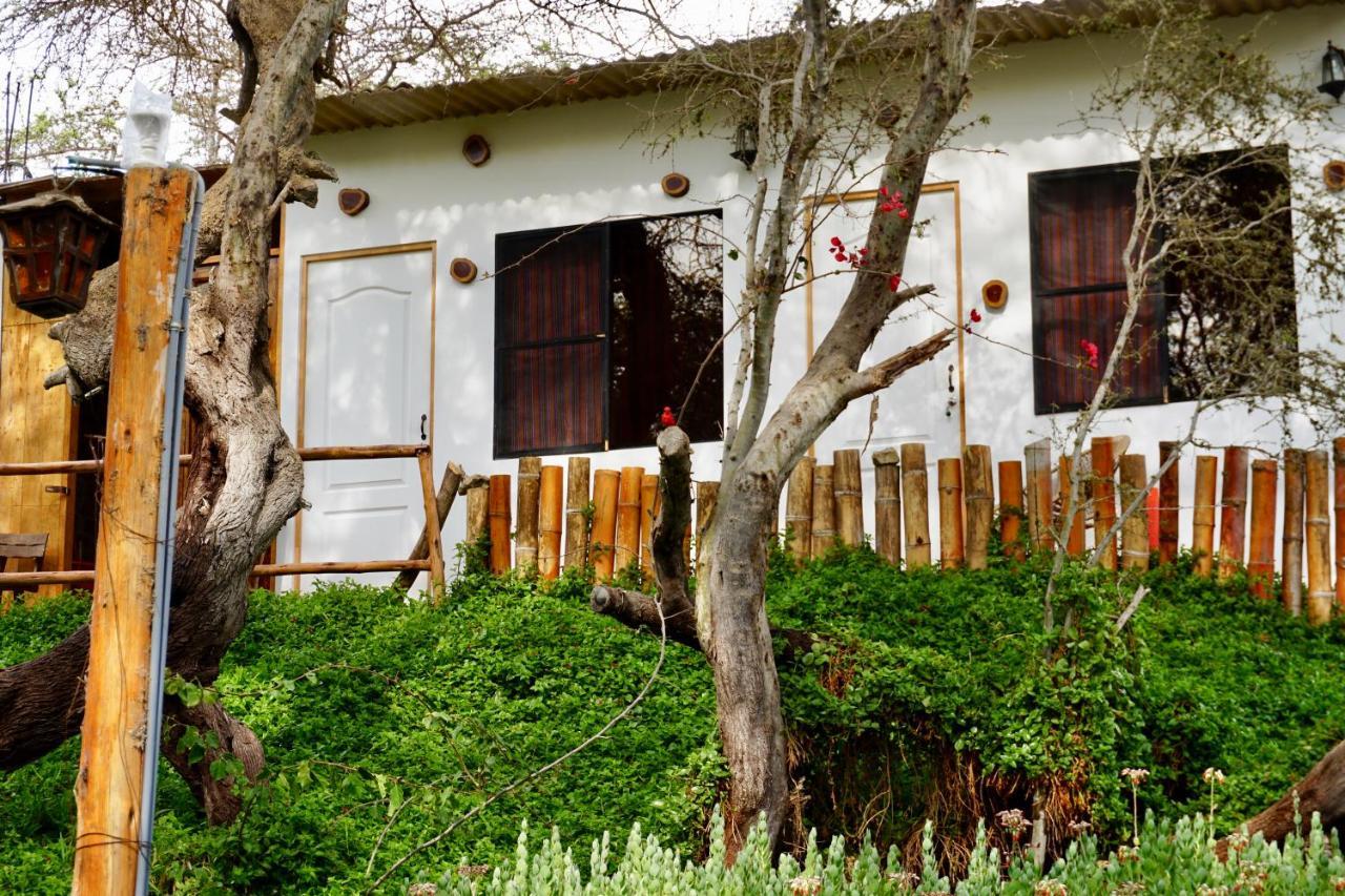 Rochabus Hotel Ica Bagian luar foto