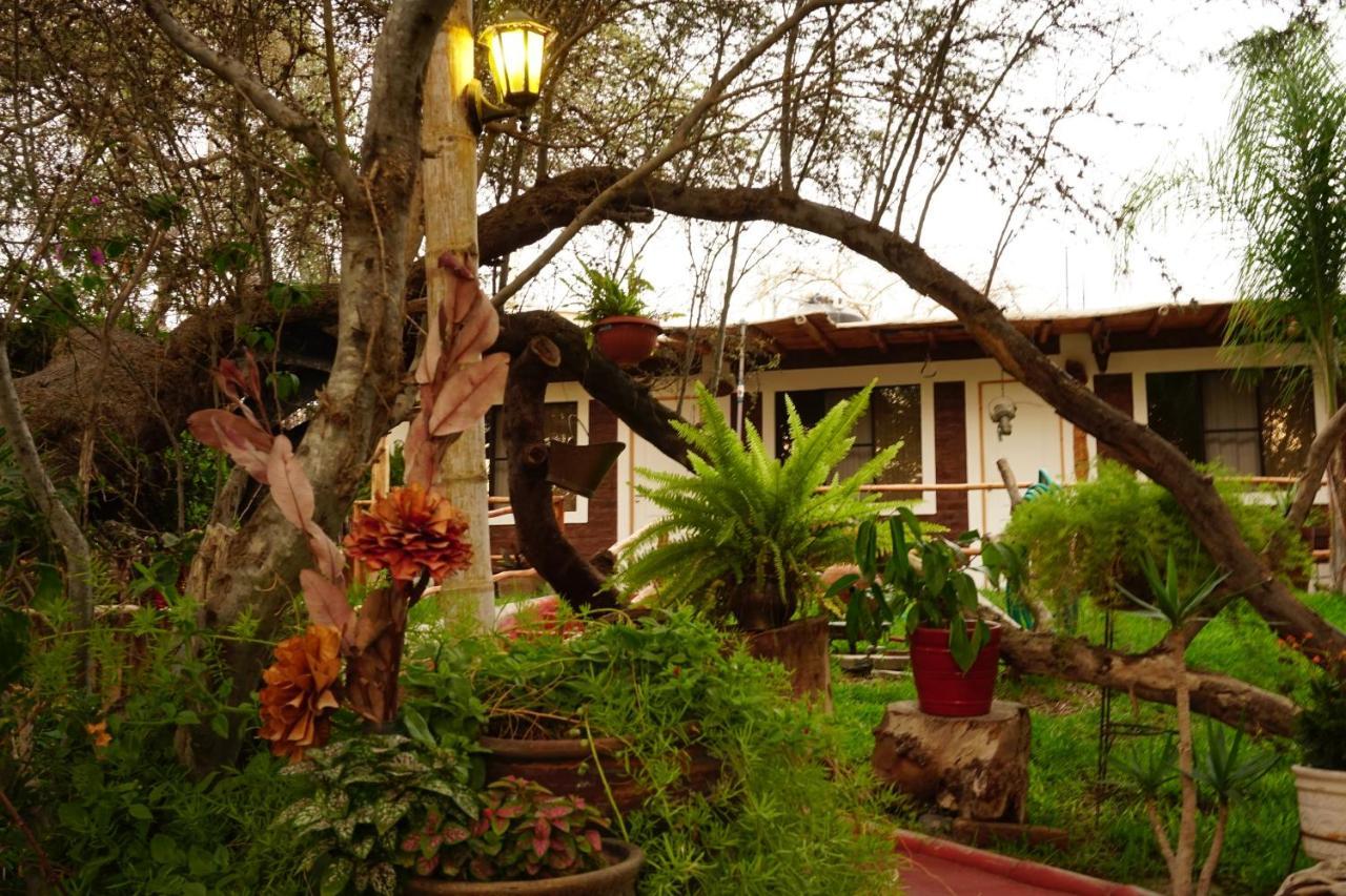 Rochabus Hotel Ica Bagian luar foto
